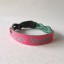Pink with Turquoise Lettering (braided) - XL